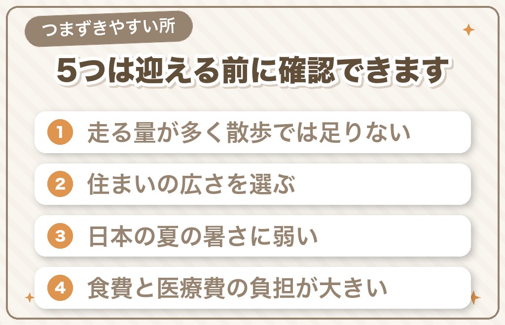 ボルゾイがかわいそうと言われる7つの理由