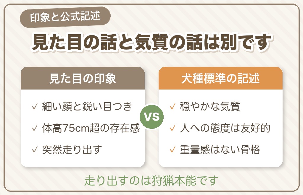 ボルゾイが「怖すぎ」「気持ち悪い」と言われるのはなぜ?