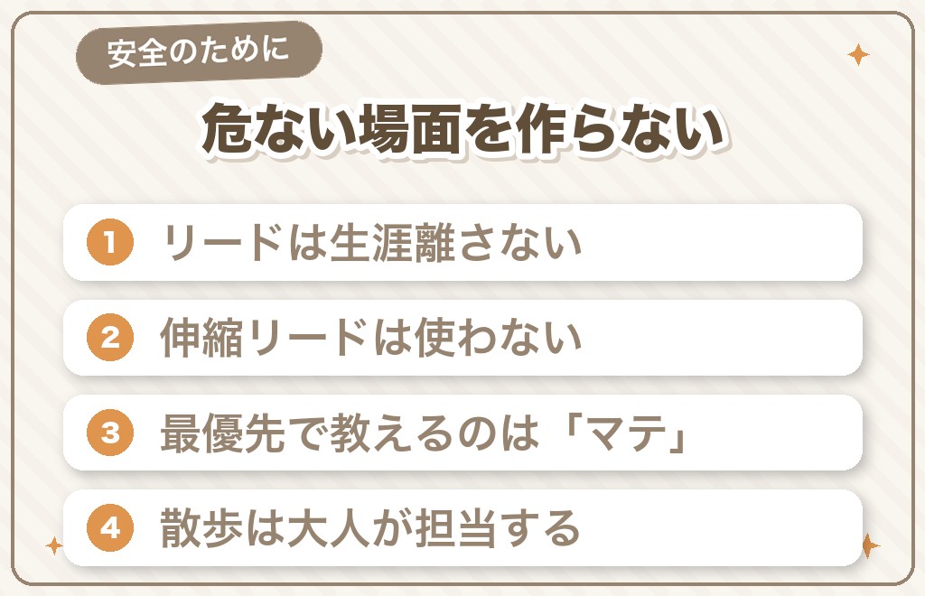 ボルゾイのしつけと散歩で守りたい鉄則