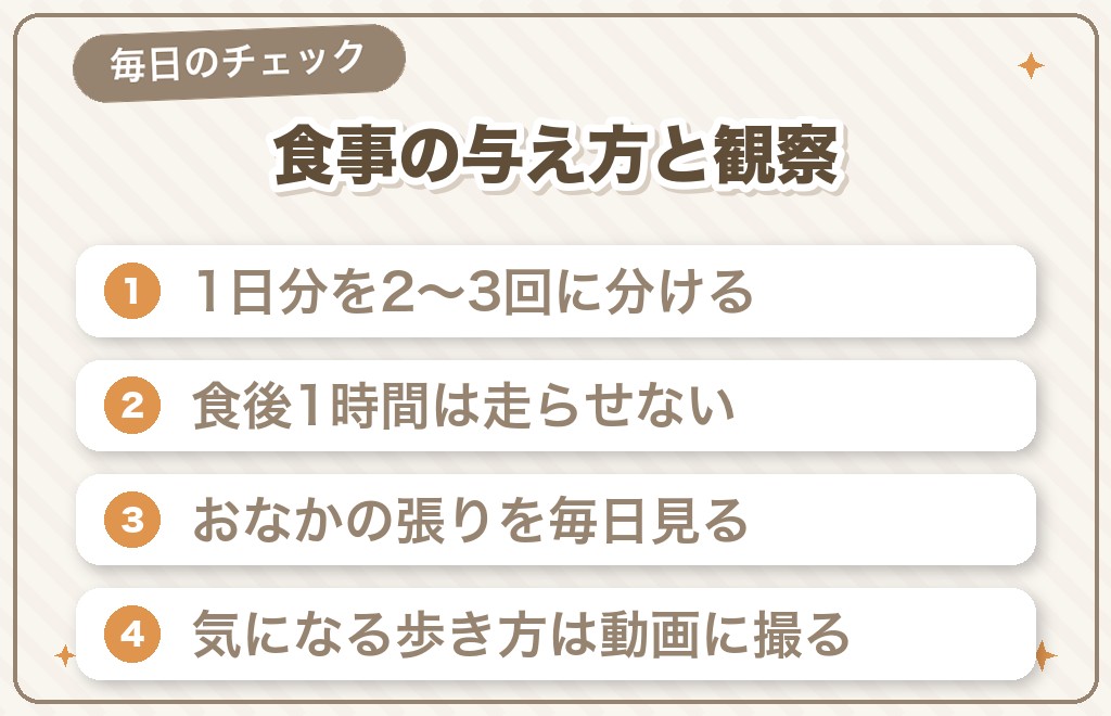 ボルゾイの健康で気をつけたいこと