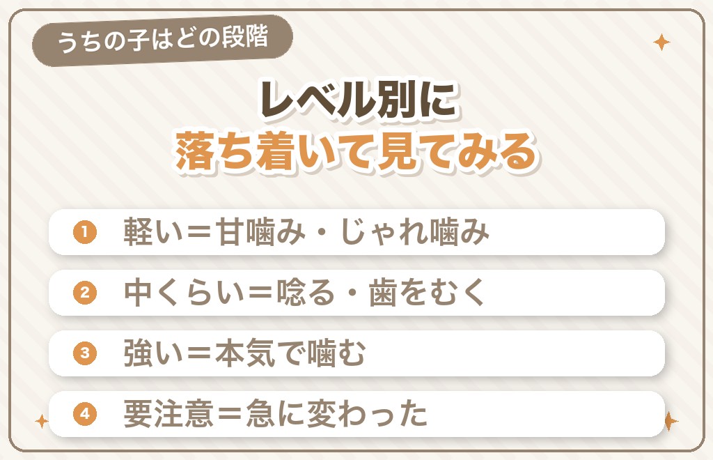 うちの子はどのくらい?チワワの凶暴度セルフチェック