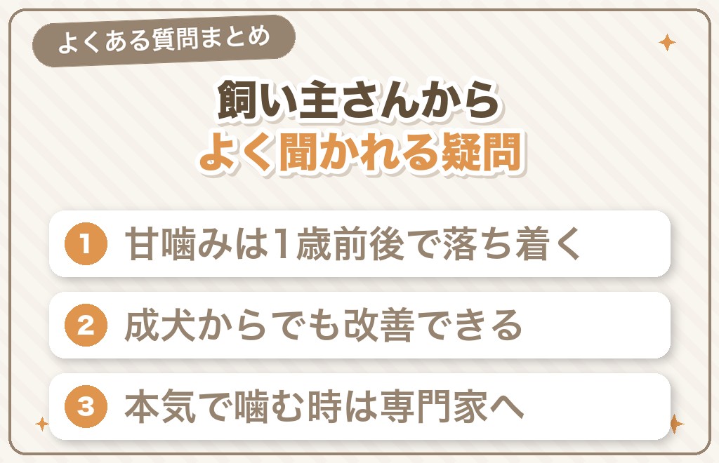 チワワの凶暴・噛み癖に関するQ&A