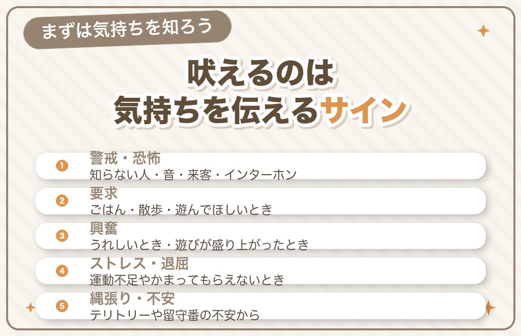 チワワが吠えるのはなぜ？主な理由