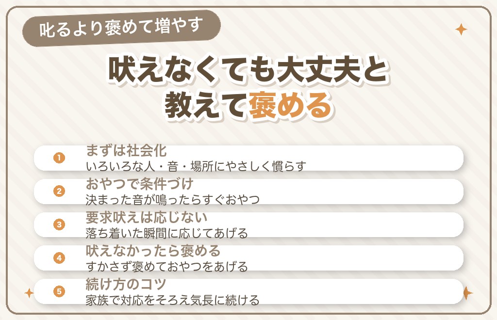 【原因別】チワワの吠えるをやめさせるしつけ方