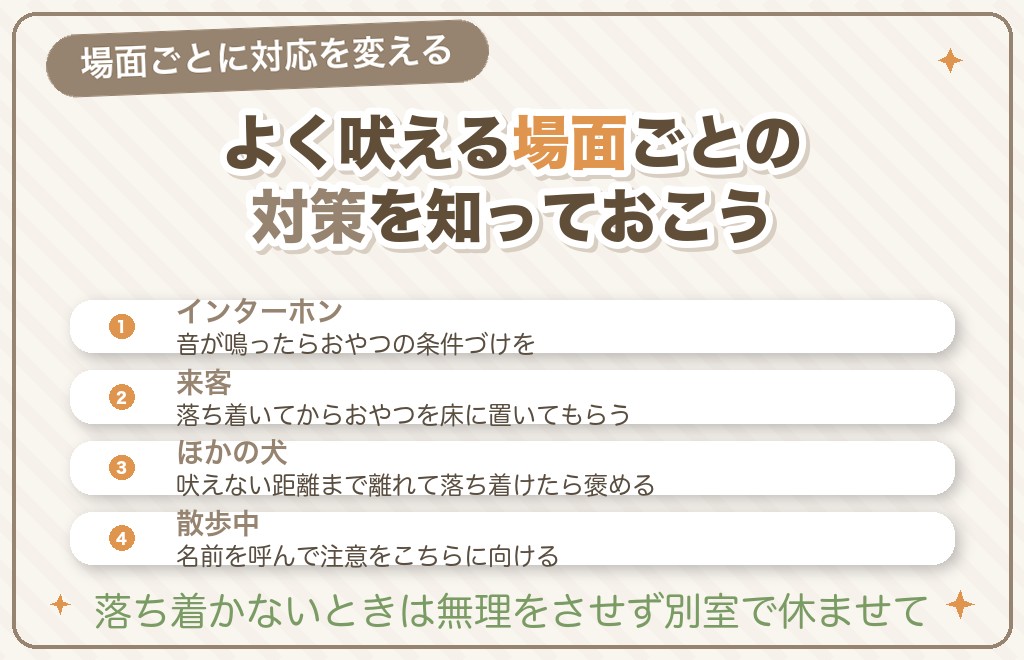 シチュエーション別のチワワの吠える対策