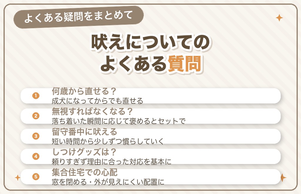チワワの吠えに関するQ&A