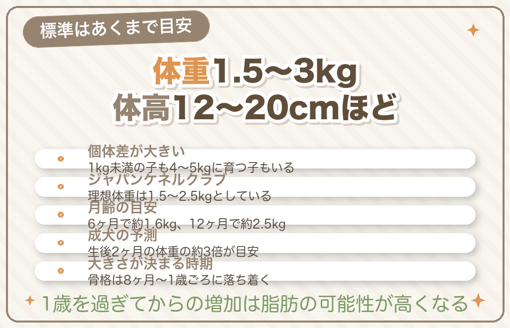 チワワの標準サイズ|体重・体高の目安