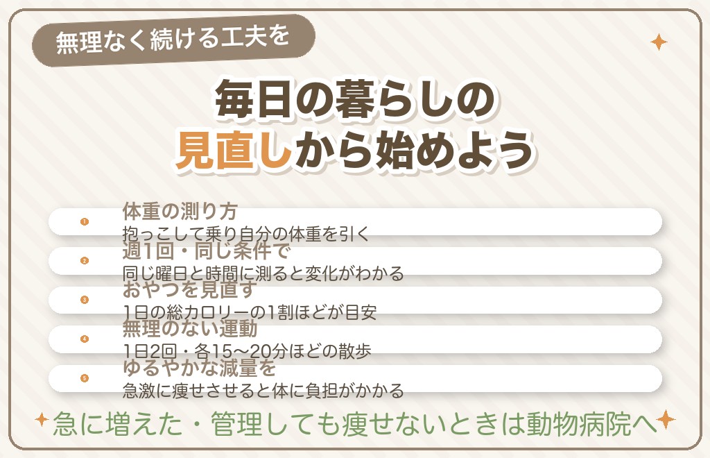 デカい・肥満チワワの体重管理とダイエット