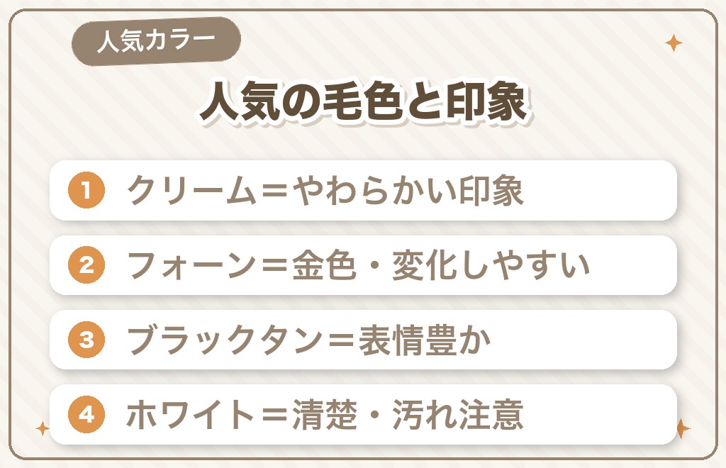 チワワの人気の毛色ランキングと特徴