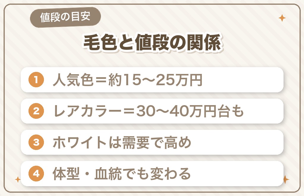 チワワの毛色によって値段は変わる？相場の目安