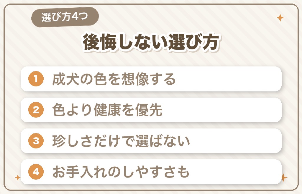 後悔しないチワワの毛色の選び方