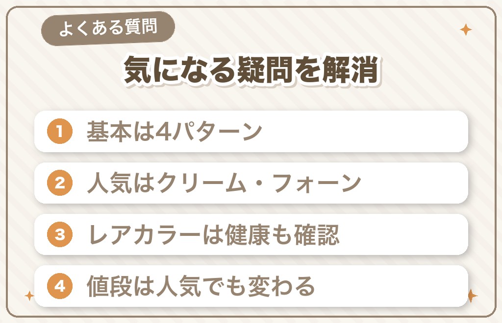 チワワの色（毛色）に関するよくある質問（Q&A）