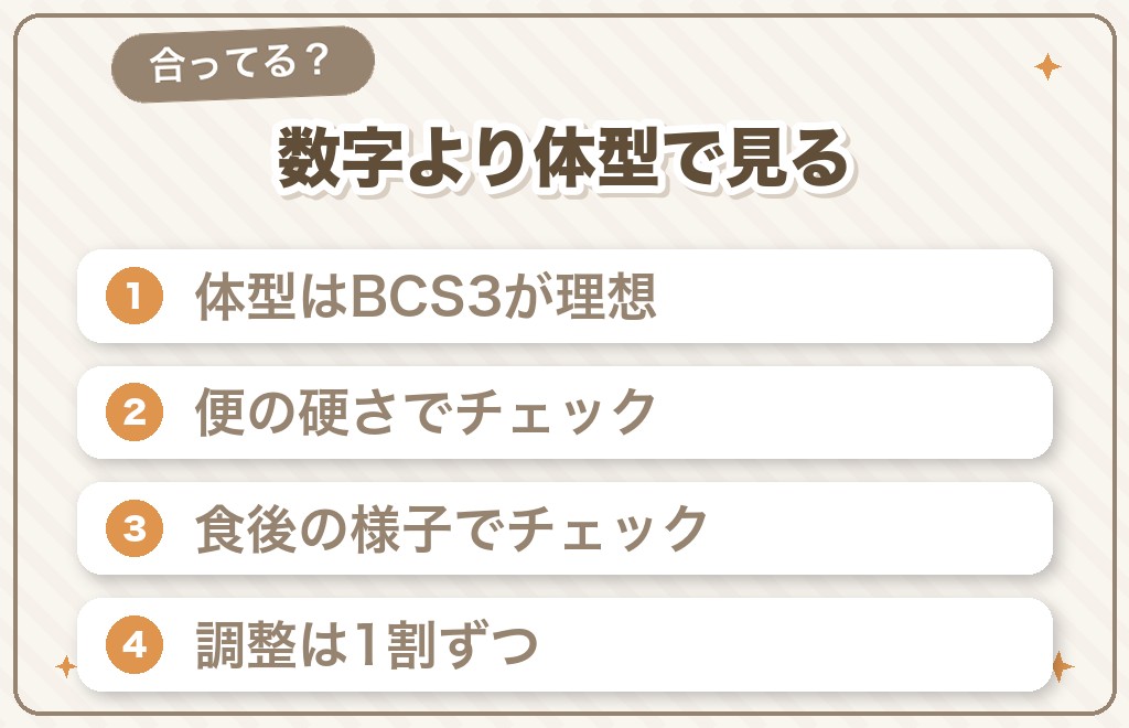 餌の量がチワワに合っているかの見分け方