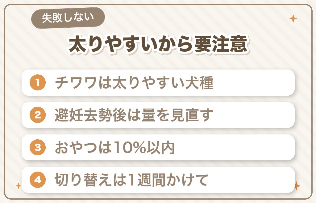 チワワの餌の量で失敗しないための注意点