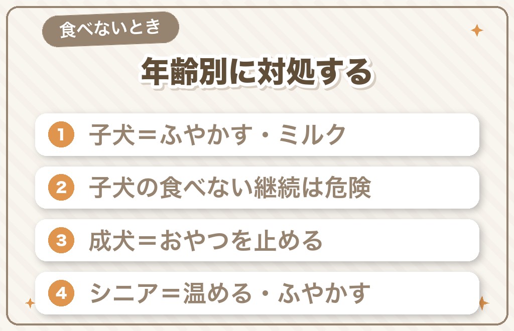チワワが餌を食べないときの対処法