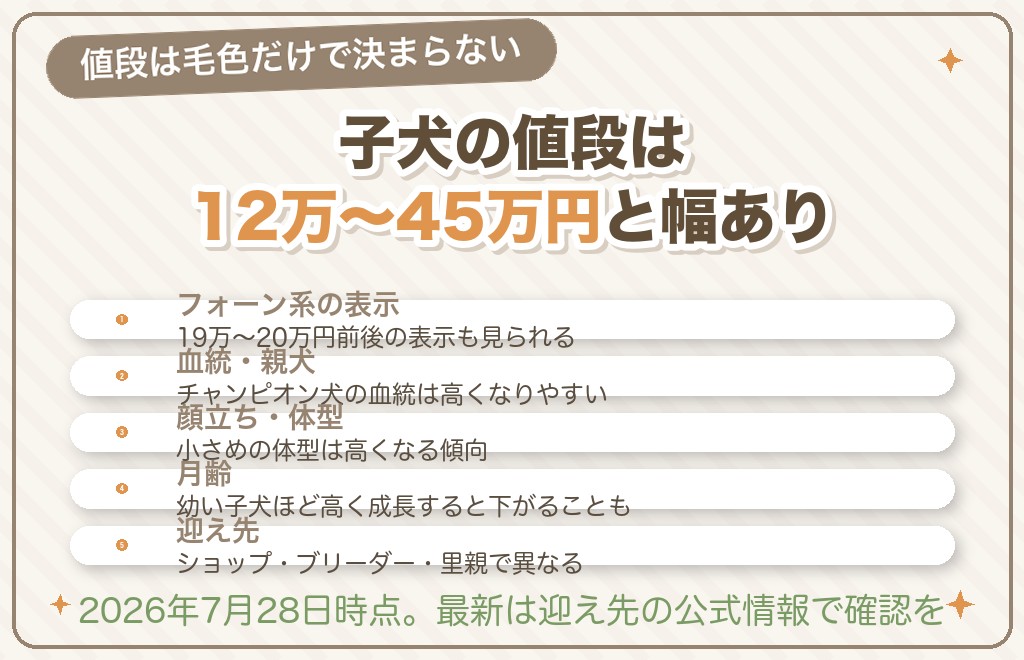 フォーンのチワワの値段の相場【2026年7月28日確認】