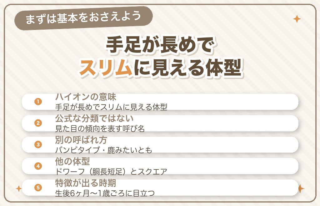 チワワのハイオンとは？