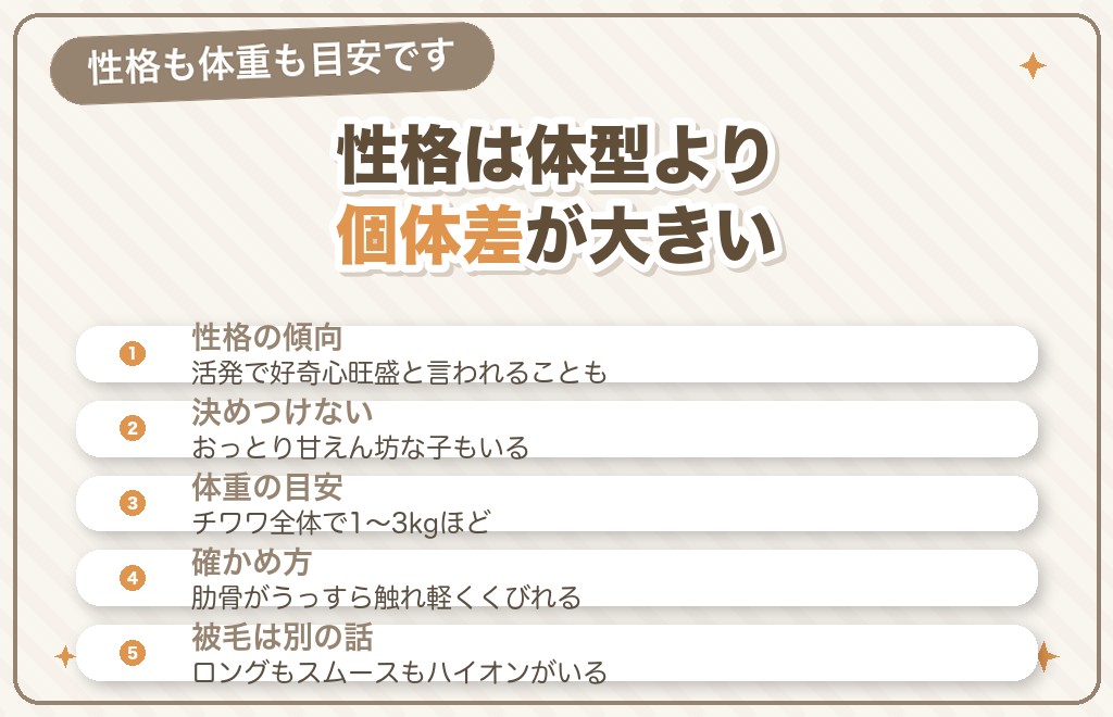 ハイオンタイプのチワワの性格と体重
