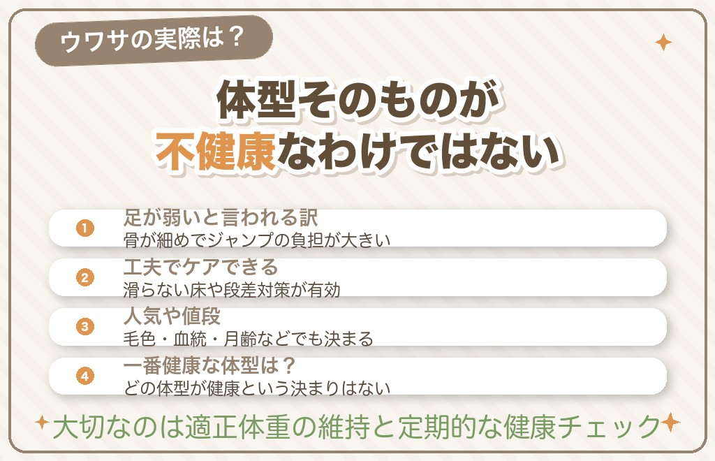 ハイオンは足が弱い？人気や値段のホント