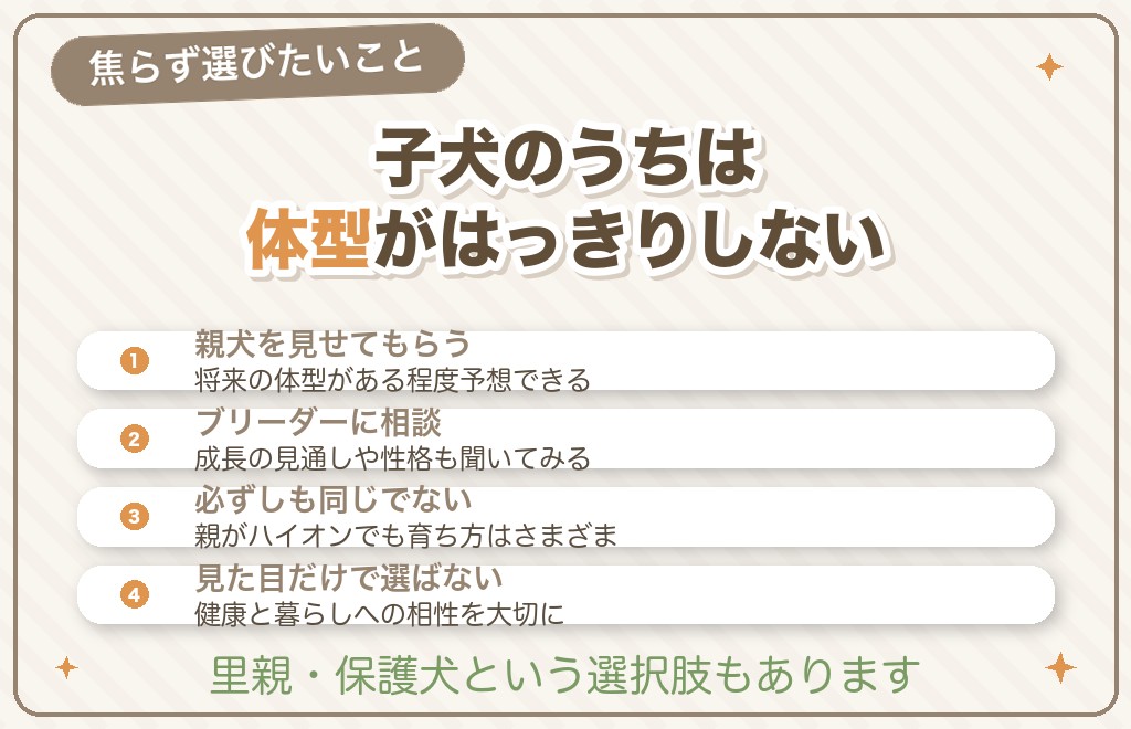 子犬選びでハイオンを見るポイント