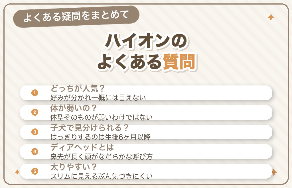 チワワのハイオンに関するQ&A