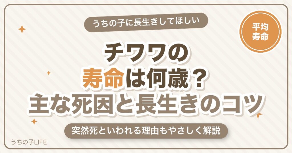 チワワの寿命は何歳？主な死因・突然死の理由と長生きのコツ