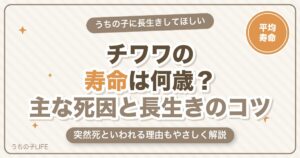 チワワの寿命は何歳？主な死因・突然死の理由と長生きのコツ