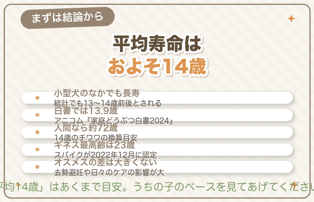 チワワの平均寿命は何歳？まずは結論