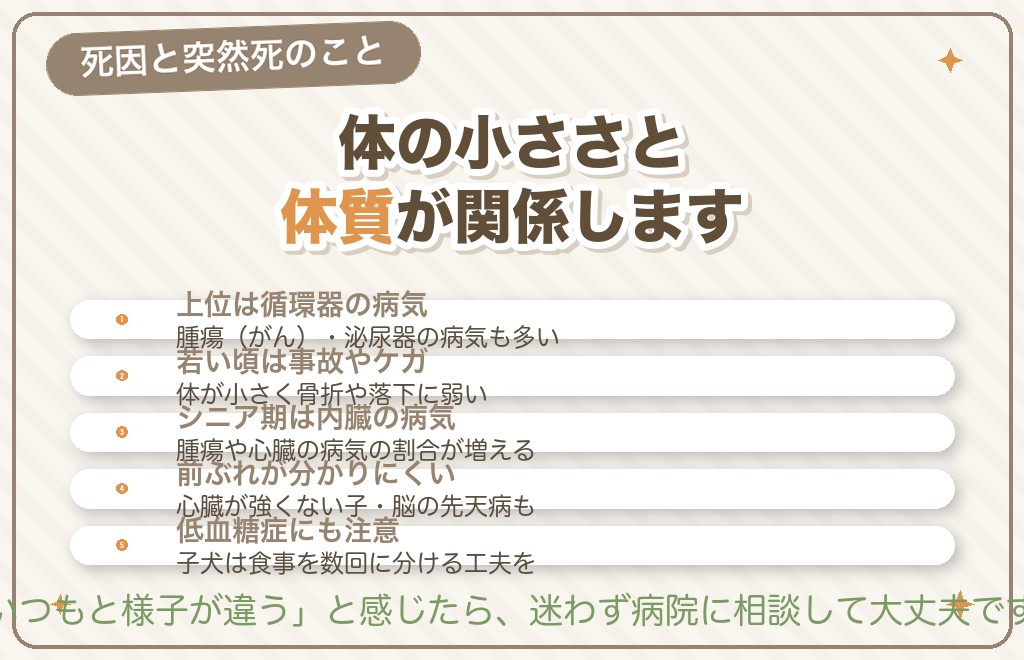 チワワの主な死因｜突然死が多いといわれる理由