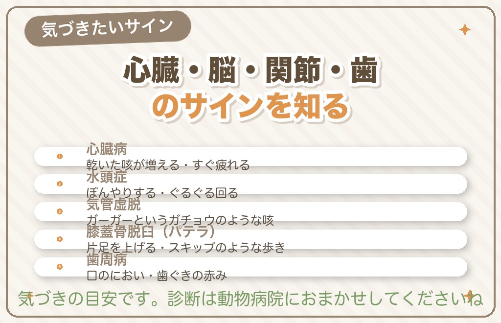 チワワがかかりやすい病気と気になるサイン