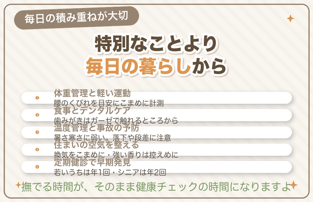 チワワを長生きさせるためにできること