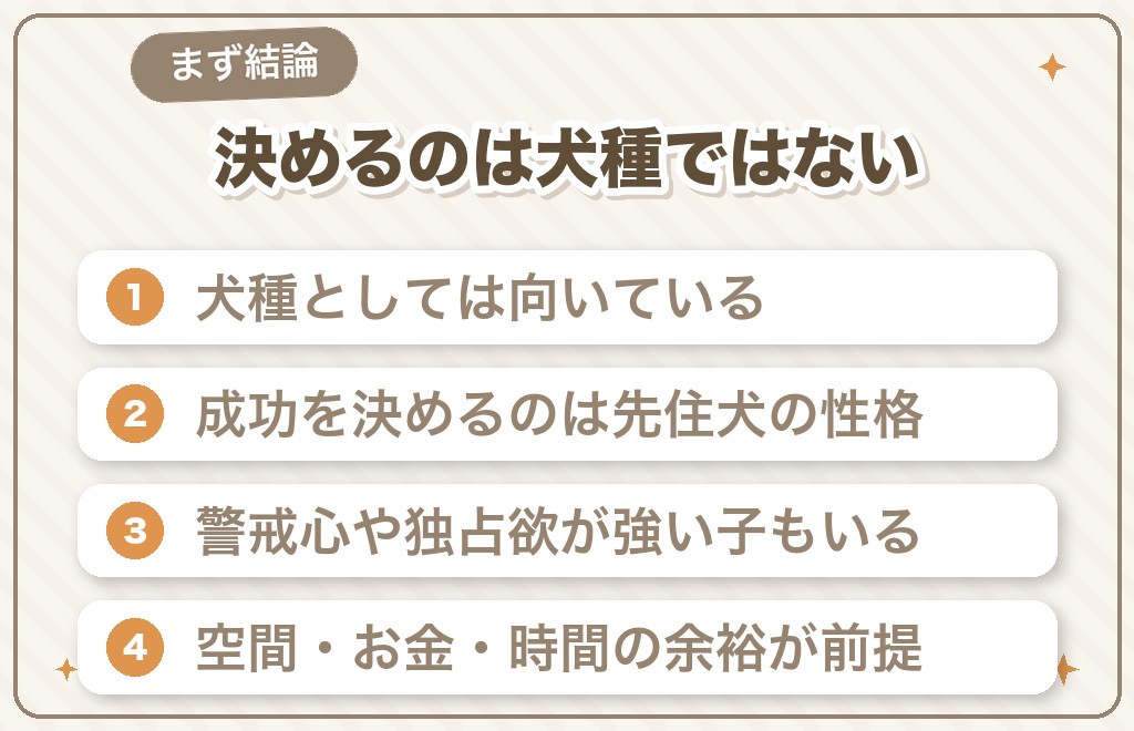 チワワは多頭飼いに向いている?まず結論