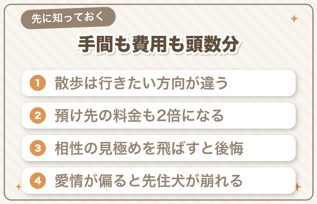 チワワの多頭飼いのデメリットと失敗しやすいケース