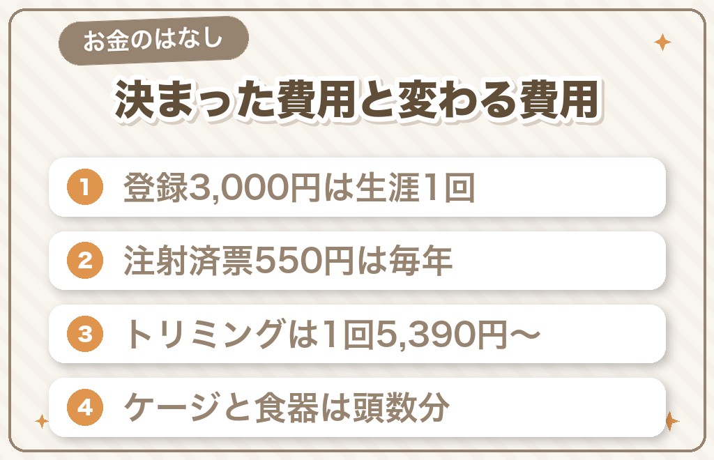 チワワの多頭飼いで増える費用の内訳