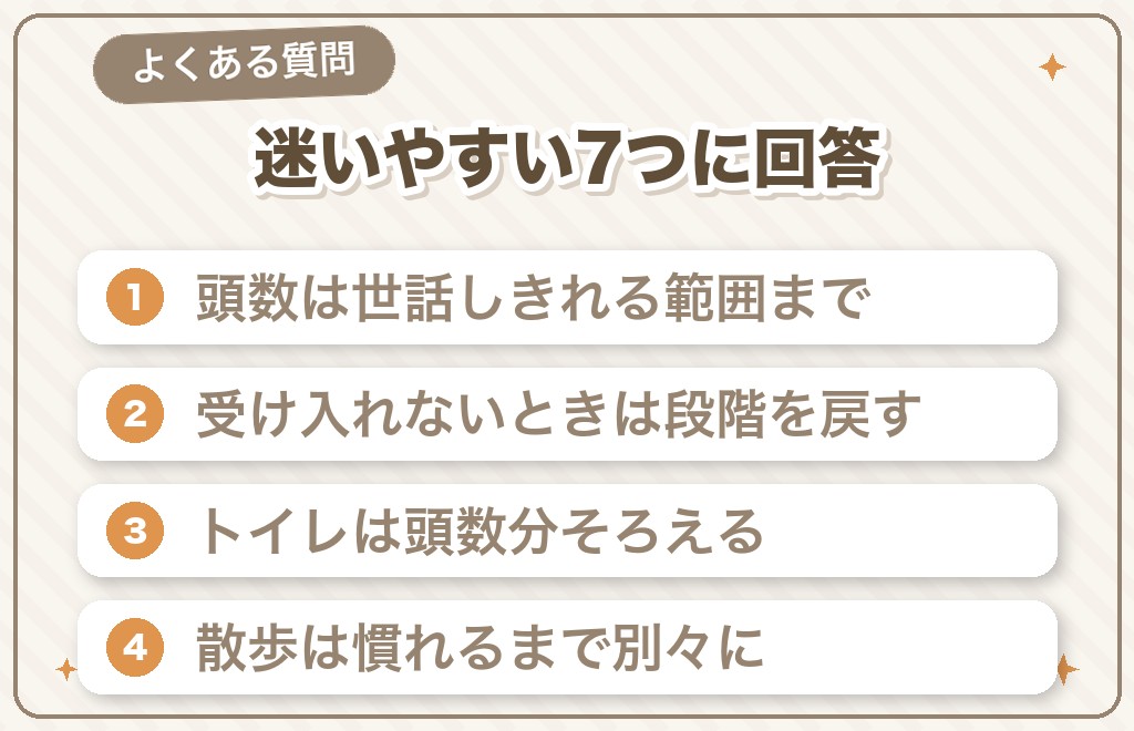 チワワの多頭飼いに関するQ&A