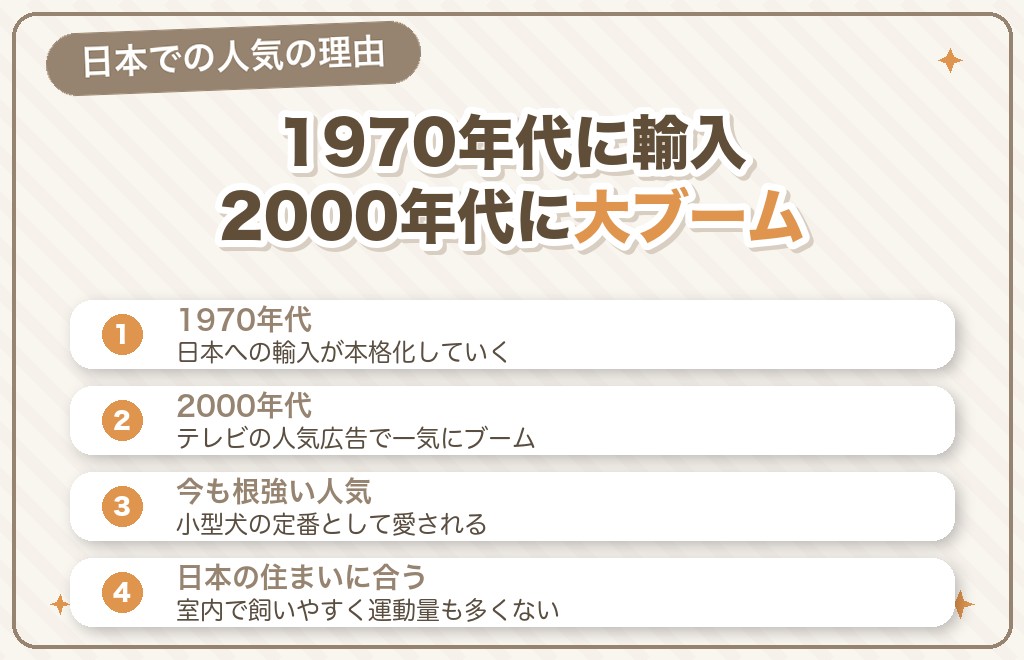チワワが日本で人気になった経緯