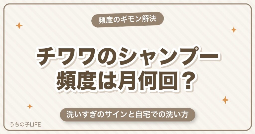 チワワのシャンプー頻度は月何回？洗いすぎのサインと自宅での洗い方