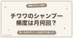チワワのシャンプー頻度は月何回？洗いすぎのサインと自宅での洗い方