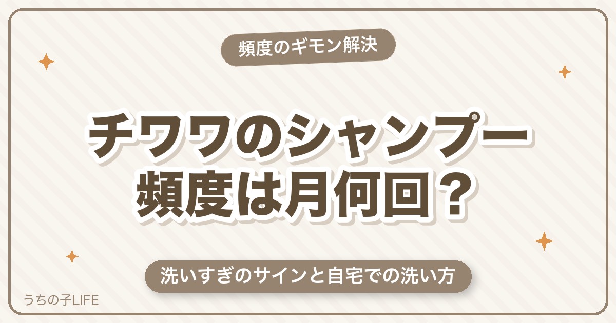 チワワのシャンプー頻度は月何回？洗いすぎのサインと自宅での洗い方