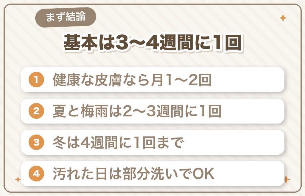 チワワのシャンプーの頻度は月1〜2回が目安