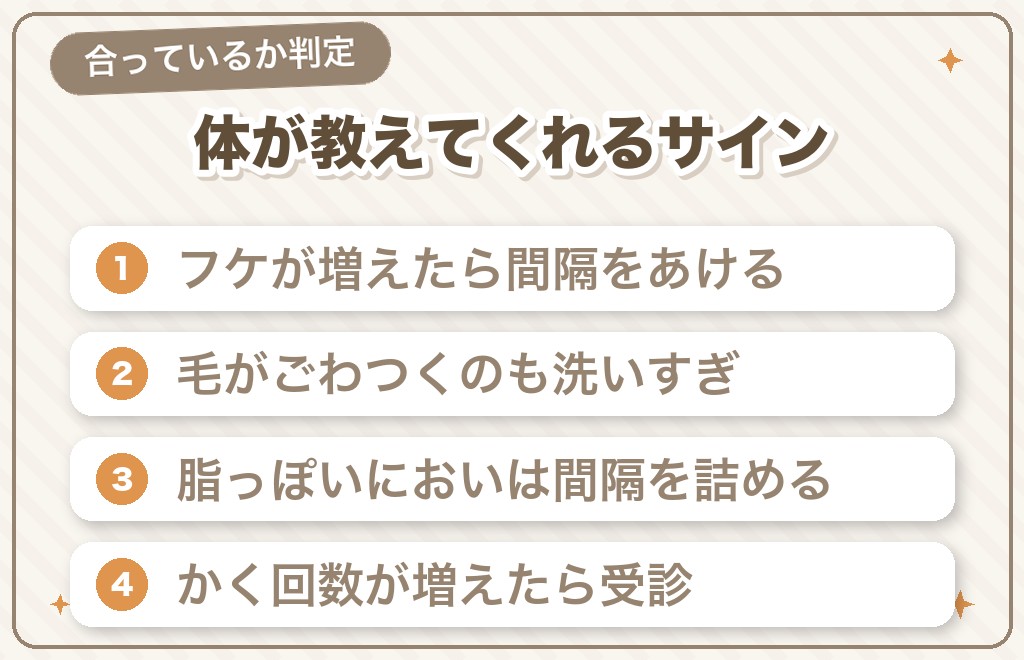 チワワのシャンプーは洗いすぎも洗わなすぎもトラブルのもと