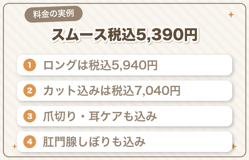 チワワのシャンプーをサロンに頼むときの料金と使い分け