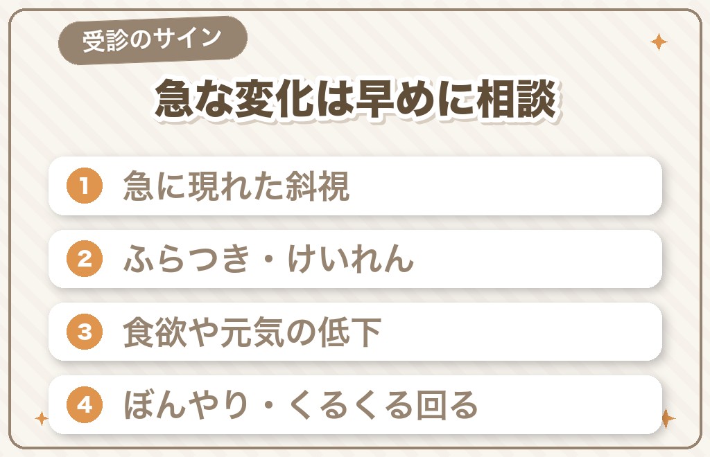 チワワの斜視で受診すべきサインと隠れていることがある病気