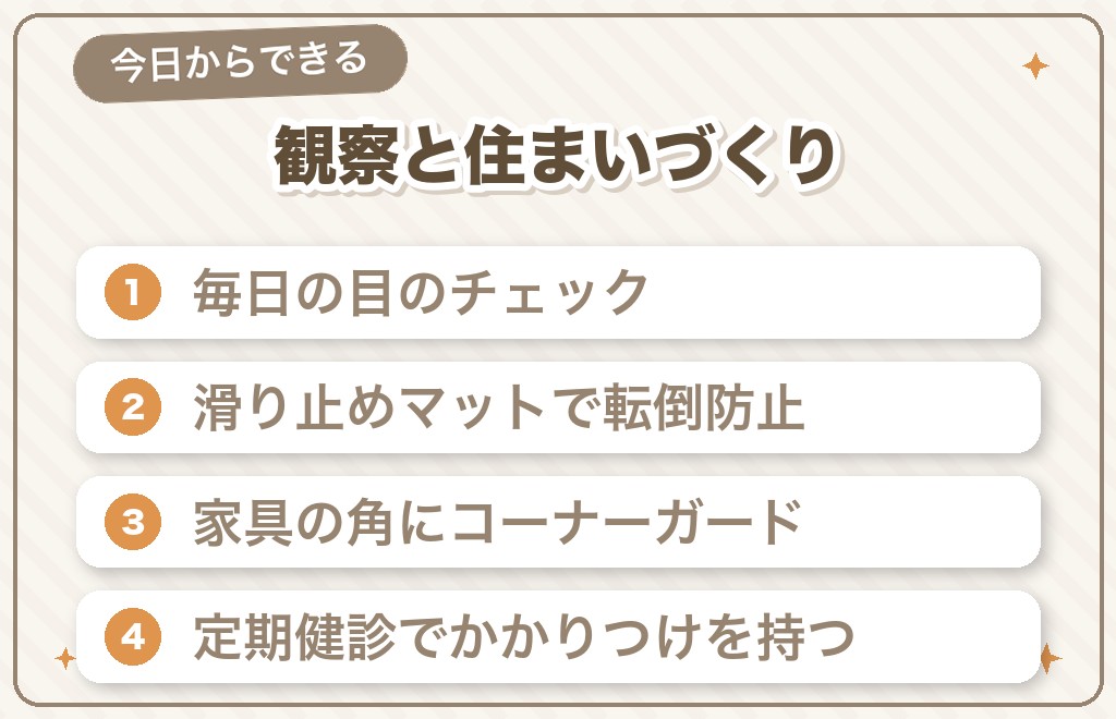 斜視のチワワと暮らすときのお世話のポイント