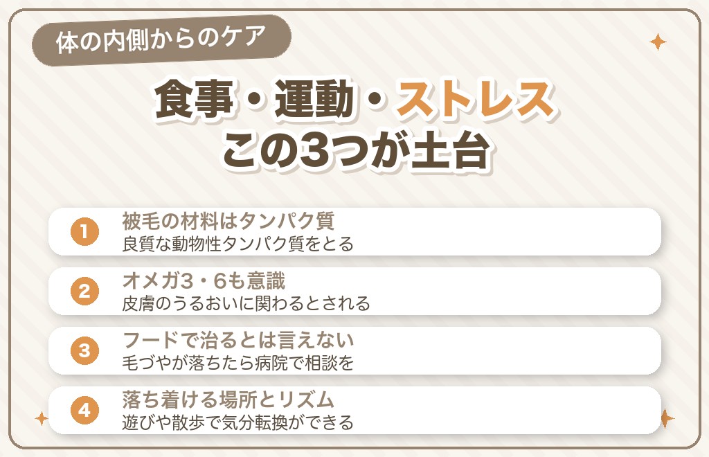 チワワの抜け毛と毛並みを支える食事・生活のケア