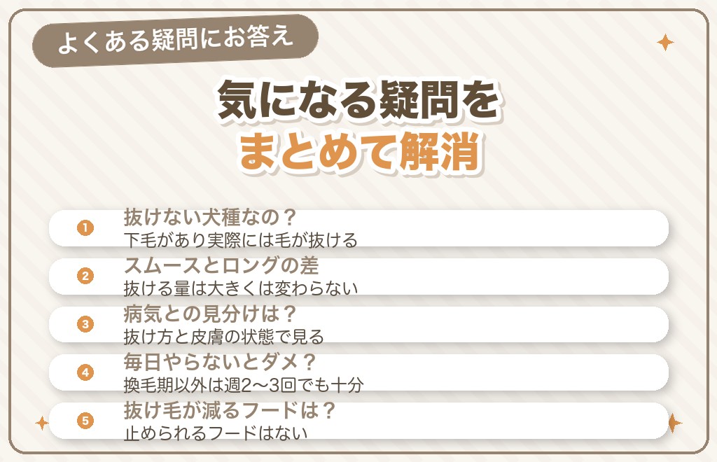 チワワの毛が抜けることに関するQ&A