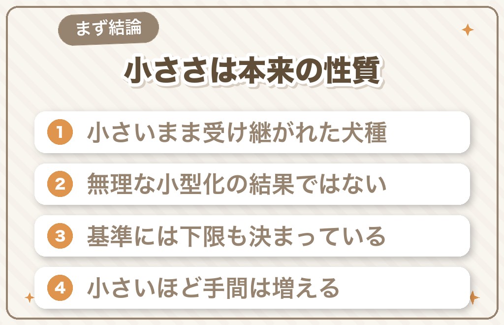 チワワが小さいのはなぜ？まず結論