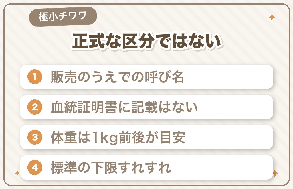 極小チワワ・ティーカップチワワとは？小さいの本当のところ