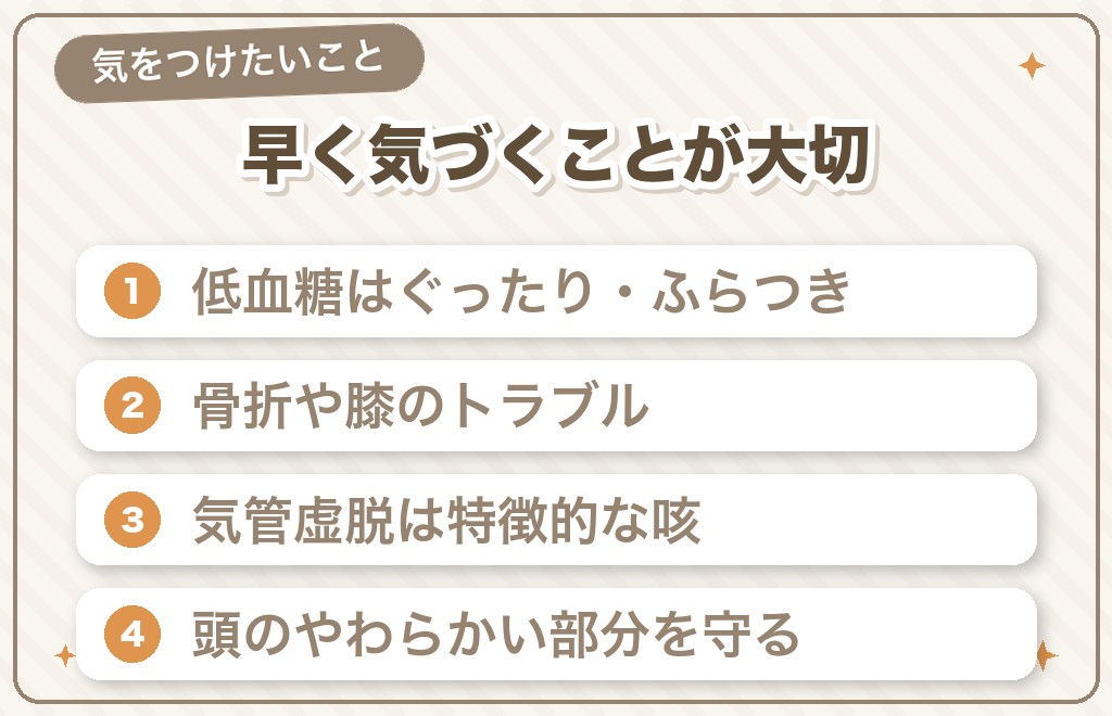 小さいチワワで気をつけたい体の弱さと病気