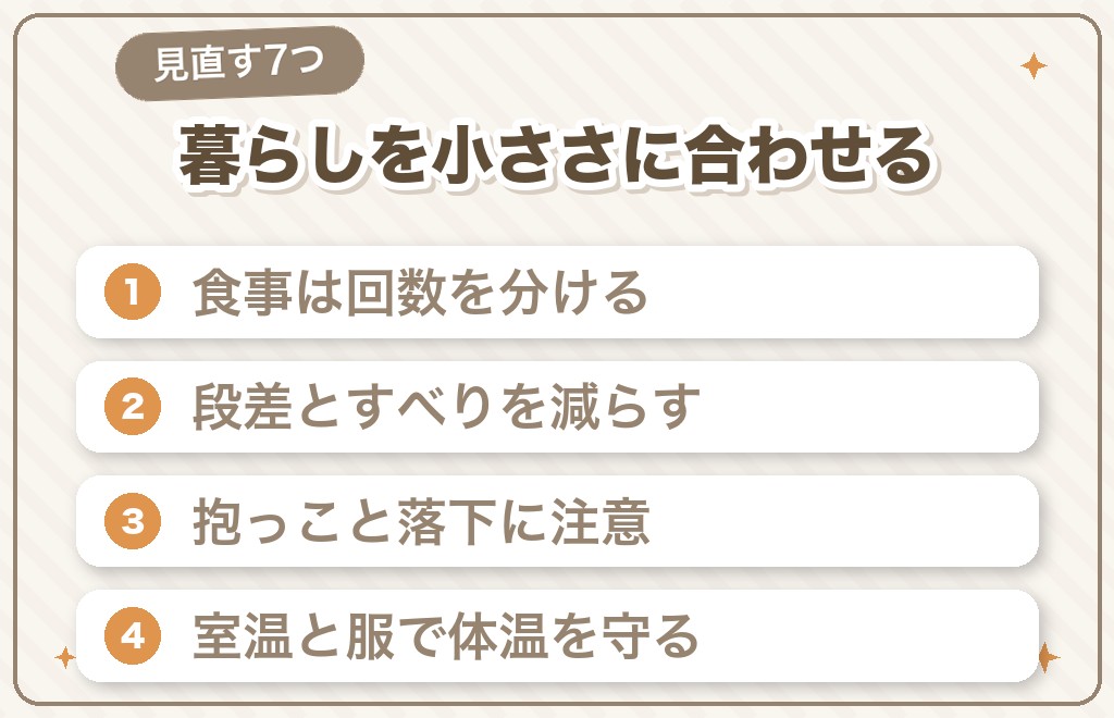 小さいチワワと暮らすとき見直したい7つのこと